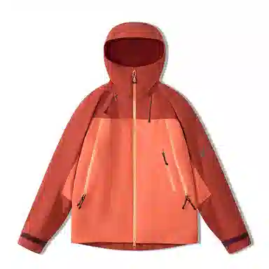 VECTOR
