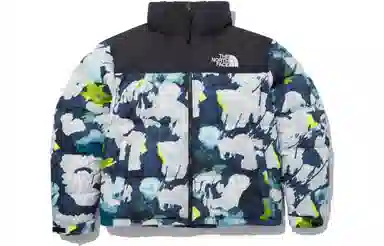 The North Face