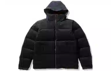 THE NORTH FACE PURPLE LABEL Logo
