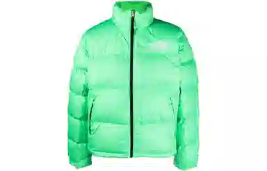 The North Face 1996 Series 700 Down Jacket Green