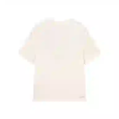 logo T DS