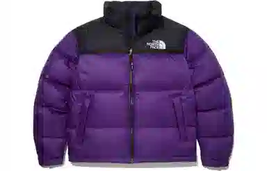The North Face Eco Nuptse Jacket Purple