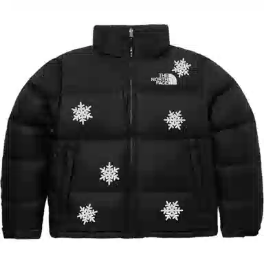 The North Face 1996 Series