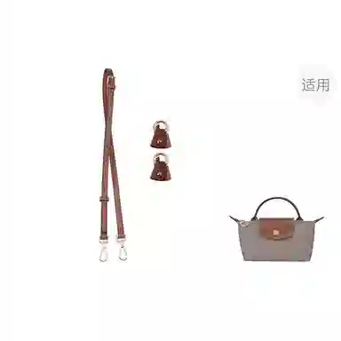Longchamp Mini Bag Strap