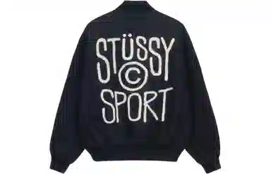 Stussy FW23 logo