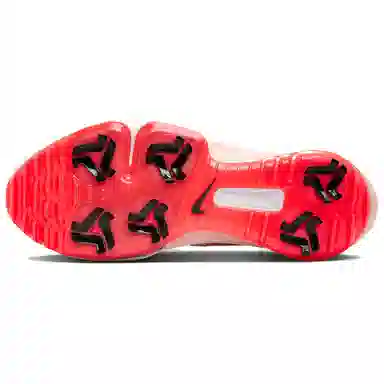 Nike Zoom Infinity Next 2 "Masters"