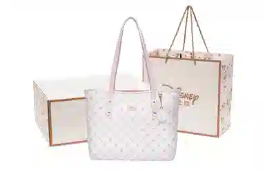 Disney Tote PVC