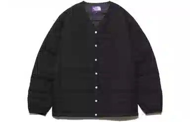 THE NORTH FACE PURPLE LABEL V