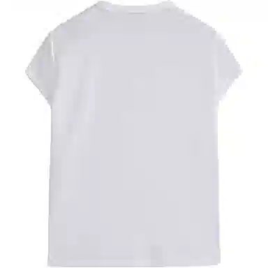 Massimo Dutti T