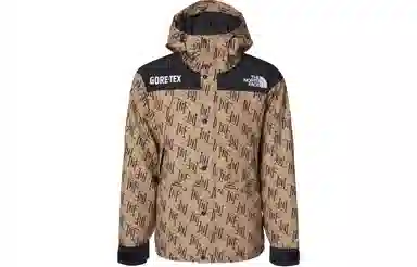 The North Face GORETEX600 Almond