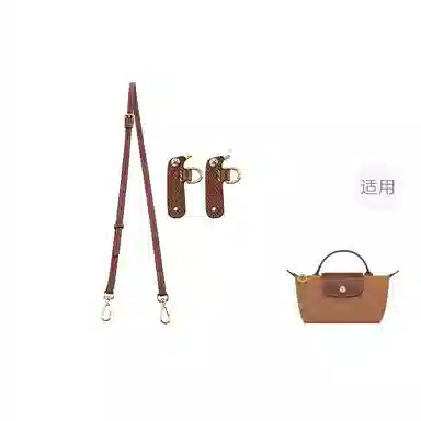 Longchamp Mini Bag Strap
