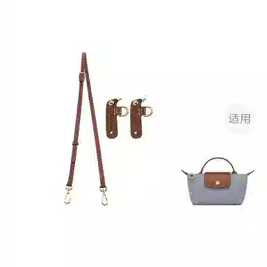 Longchamp Mini Bag Strap