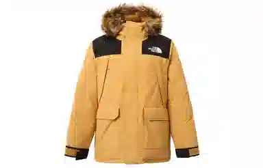 The North Face Logo Zip Hoodie Brown