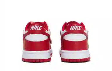 Nike Dunk Low Retro 811