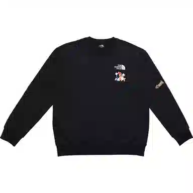 THE NORTH FACE SDSLogo