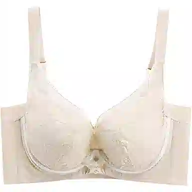 欧迪芬 亲肤透气小胸显大聚拢上托收副乳防下垂软支撑蕾丝时尚文胸 女款