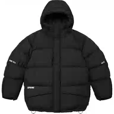 Supreme FW24 GORE-TEX Down Parka