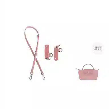 Longchamp Le Pliage Mini Strap