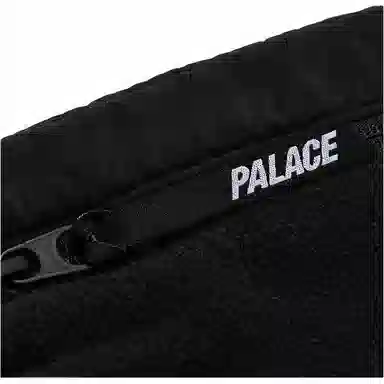PALACE FW22 Polartec Shell Shorts