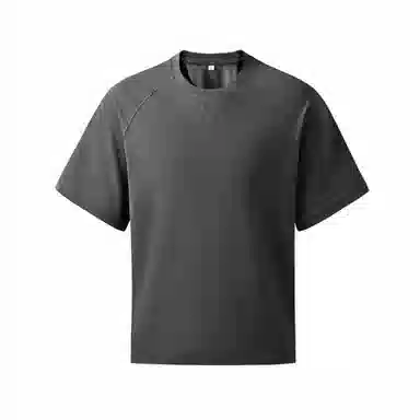 Hansca T