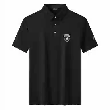 Automobili Lamborghini Polo