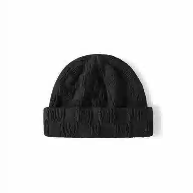 Champion Beanie