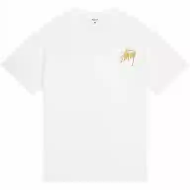 WELTER EXPERIMENT vibeT