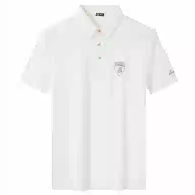 Automobili Lamborghini Polo