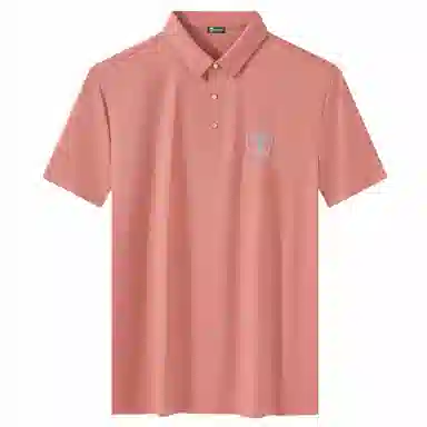 Automobili Lamborghini Polo