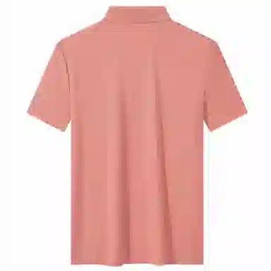 Automobili Lamborghini Polo