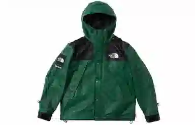 Supreme x The North Face FW18 Green Jacket