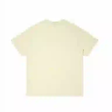 IE T