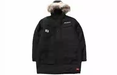 Dickies