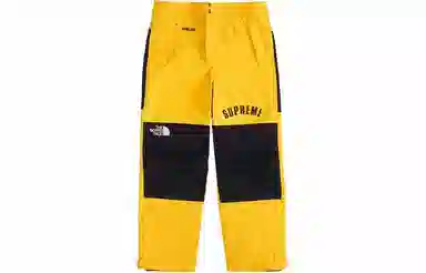 Supreme x THE NORTH FACE SS19