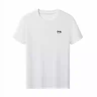 JEEP SPIRIT T