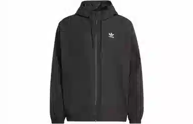 adidas originals Adicolor Logo