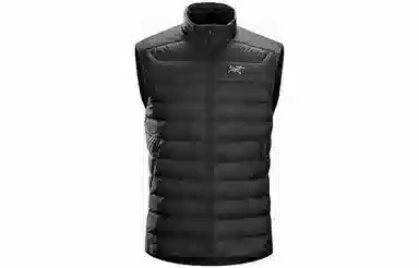Arcteryx Cerium LT Vest