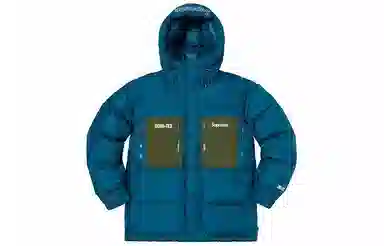 Supreme Gore-Tex Down Parka