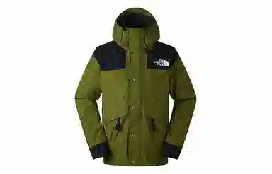 THE NORTH FACE 1986FUTURELIGHTLogo