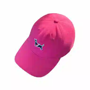 杨同学 精选刺绣小狗 棉 鸭舌帽 男女同款情侣款