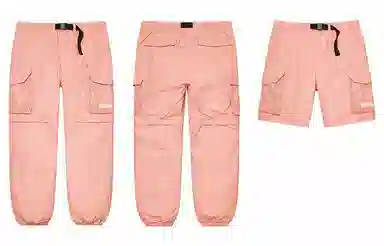 Supreme SS21 Week 16 Mesh Pocket Belted Cargo Pant