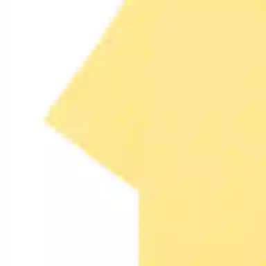 Polo Ralph Lauren LogoT