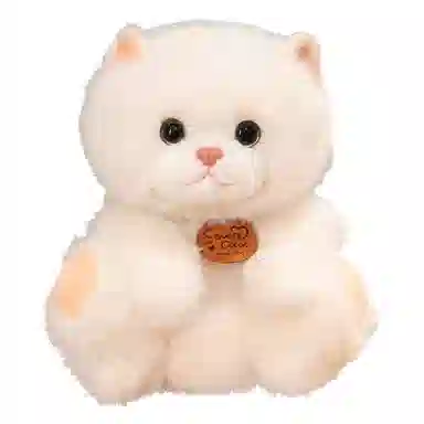 MORTEN SOLUM 25cm35cm