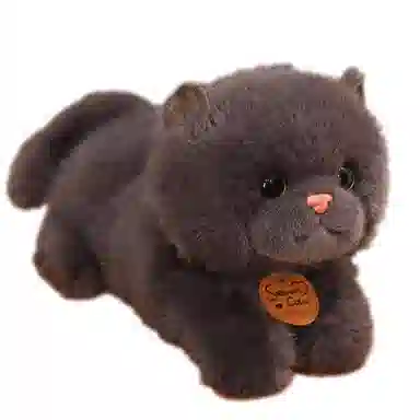 MORTEN SOLUM 25cm35cm