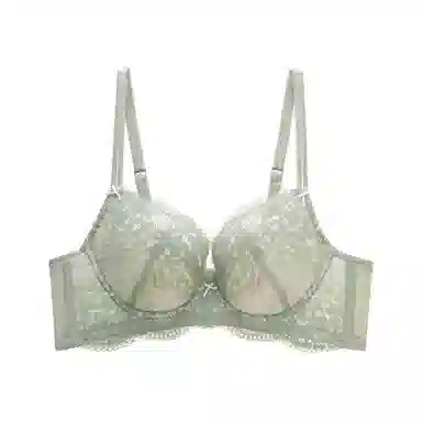 都市丽人 大胸显小聚拢防下垂文胸 女款
