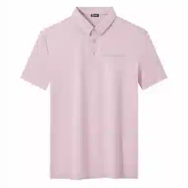 Automobili Lamborghini LogoPolo