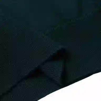 Polo Ralph Lauren FW23 LogoV