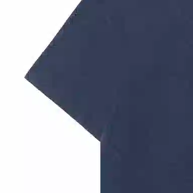 Polo Ralph Lauren SS24 LogoT