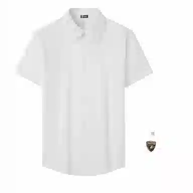 Automobili Lamborghini logo