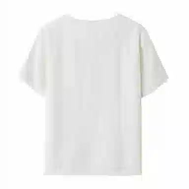PIERRE CARDIN T